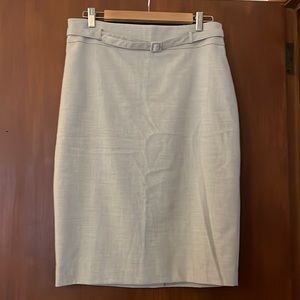 Ann Taylor Pencil Skirt in beige/grey, size 10.  Goes with anything!